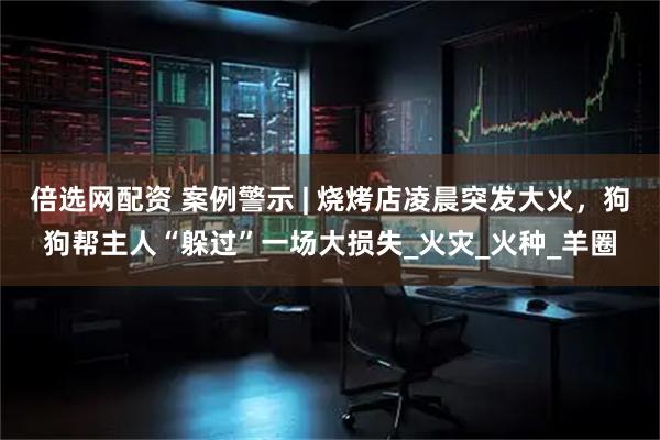 倍选网配资 案例警示 | 烧烤店凌晨突发大火，狗狗帮主人“躲过”一场大损失_火灾_火种_羊圈