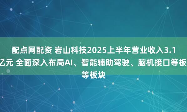 配点网配资 岩山科技2025上半年营业收入3.17亿元 全面深入布局AI、智能辅助驾驶、脑机接口等板块