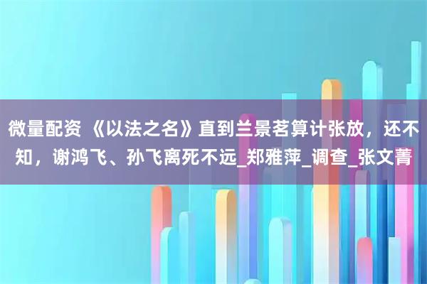 微量配资 《以法之名》直到兰景茗算计张放，还不知，谢鸿飞、孙飞离死不远_郑雅萍_调查_张文菁