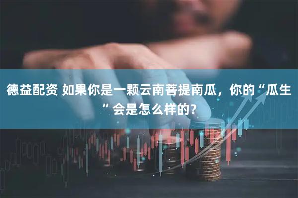 德益配资 如果你是一颗云南菩提南瓜，你的“瓜生”会是怎么样的？