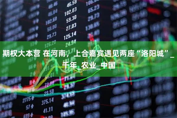 期权大本营 在河南，上合嘉宾遇见两座“洛阳城”_千年_农业_中国