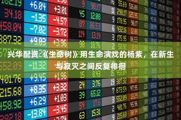 兴华配资 《生命树》用生命演戏的杨紫，在新生与寂灭之间反复徘徊